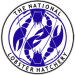 National Lobster Hatchery, Improving sustainability in aquaculture