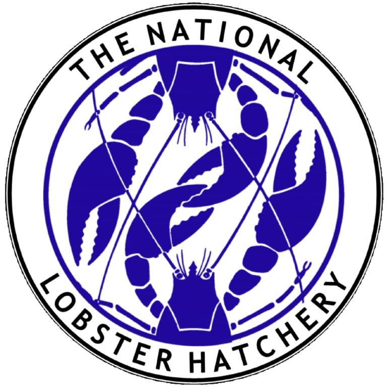 Read more about the article National Lobster Hatchery, Improving sustainability in aquaculture