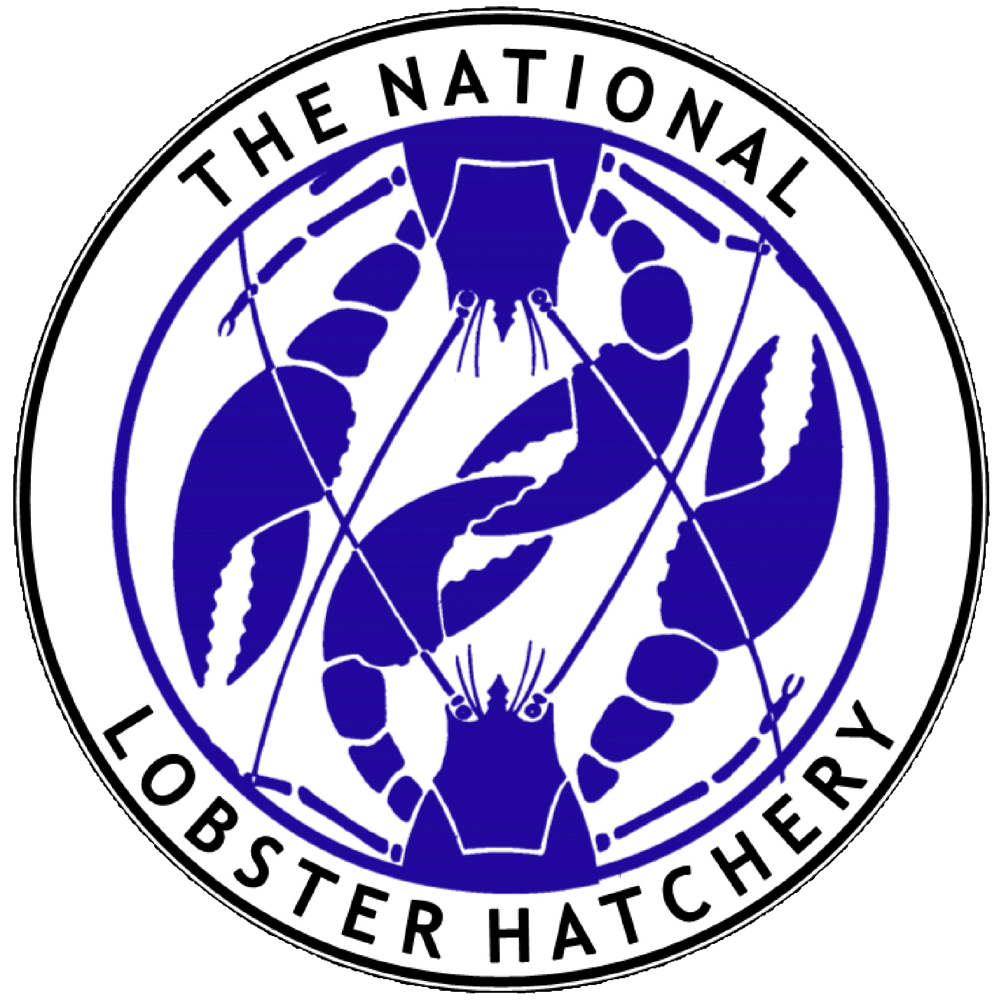 You are currently viewing National Lobster Hatchery,  Améliorer la durabilité de l’aquaculture